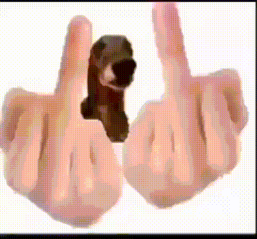 a pair of hands giving the middle finger with a dog behind them