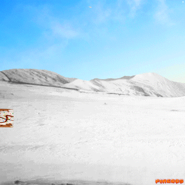 a penguin sitting on top of a piece of cake in the snow