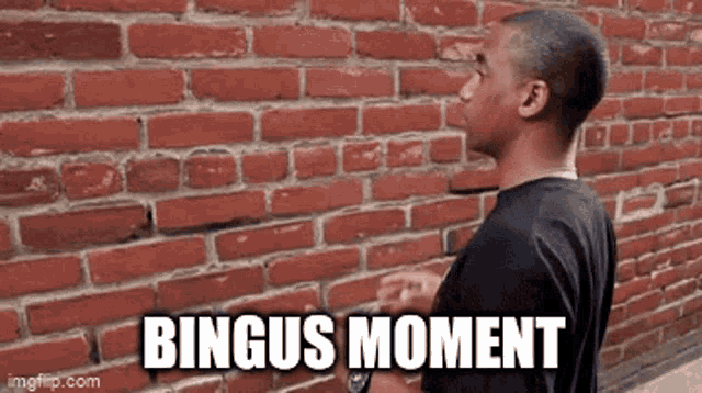 a man is standing in front of a brick wall with the words " bingus moment " written on it .