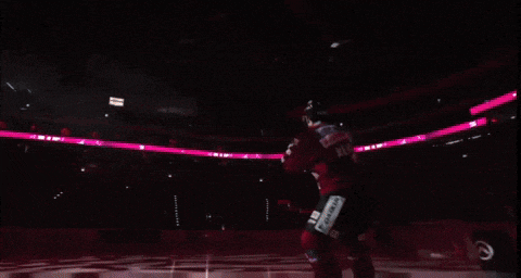 a hockey player wearing a number 5 jersey holds his arms in the air