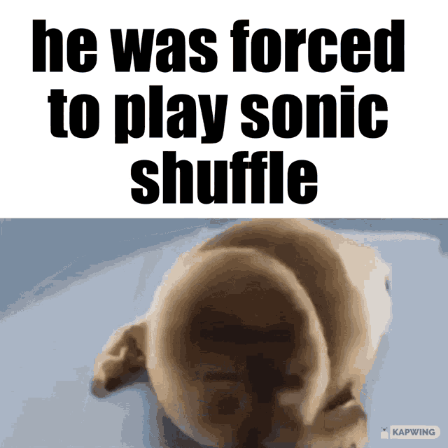Sonic The Hedgehog Sonic Shuffle GIF - Sonic The Hedgehog Sonic Shuffle Sonic GIFs