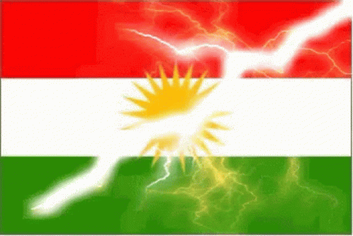 Kurd Kurdish GIF - Kurd Kurdish Kurds GIFs