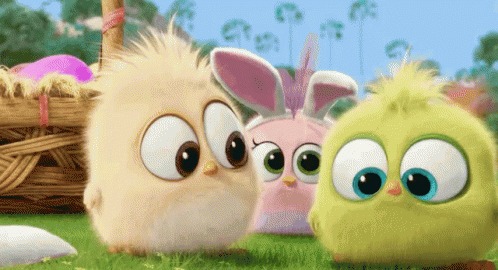 アングリーバード 映画　可愛い GIF - Angry Bird Movie Cute GIFs
