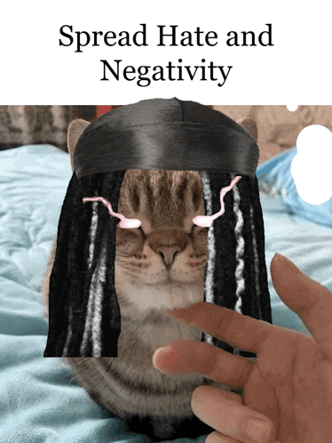 a cat wearing a headband with the words spread hate and negativity
