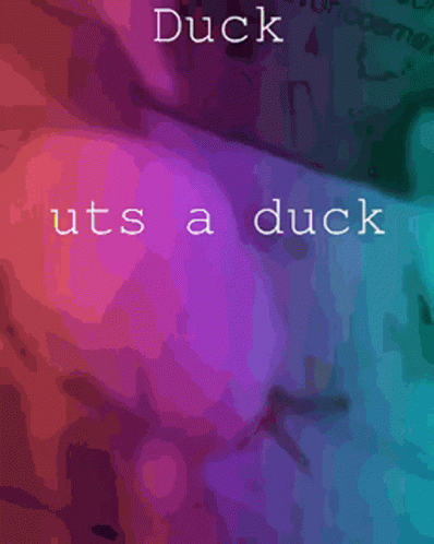 Duck Its A Duck Rainbow Peace GIF - Duck Its A Duck Rainbow Peace GIFs
