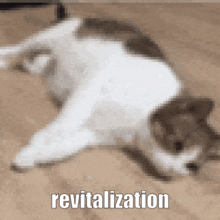 Cat Revitalization GIF - Cat Revitalization Revive GIFs