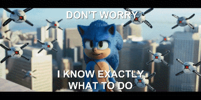 a picture of sonic the hedgehog with the words " don t worry i know exactly what to do "