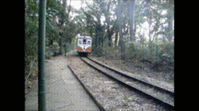 a train going down the tracks in the woods