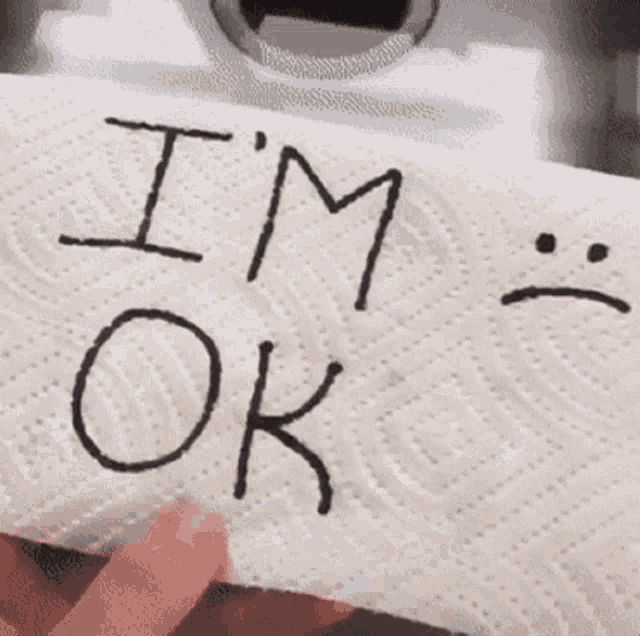 a person is holding a stuffed animal that has the word ok written on it .