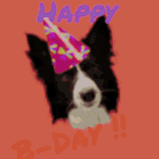 a black and white dog wearing a party hat with the words happy b-day below it