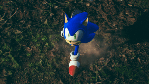 a sonic the hedgehog is standing in the dirt and grass