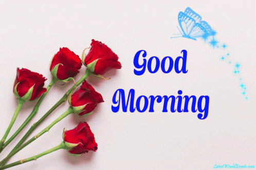 Good Morning Gif Flowers