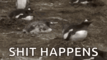 a group of penguins are standing in the water with the words `` shit happens '' written in the background .