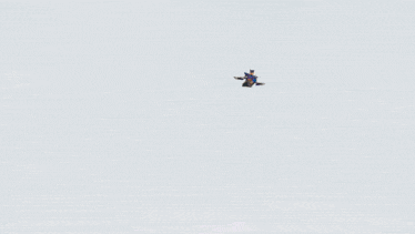 a person is flying through the air with a blue object in the background