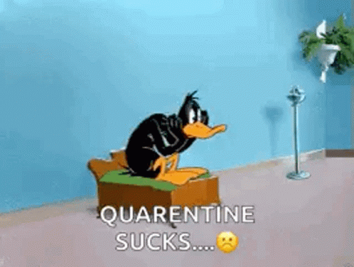Daffy Duck Looney Tunes GIF - Daffy Duck Looney Tunes Nervous GIFs