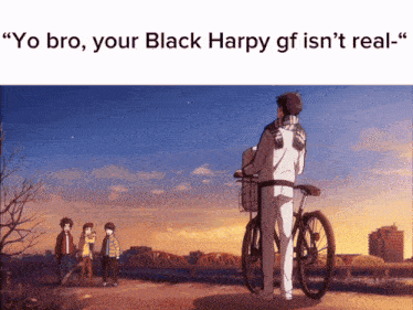 a cartoon of a man standing next to a bike with the caption " yo bro your black harpy gf is n't real
