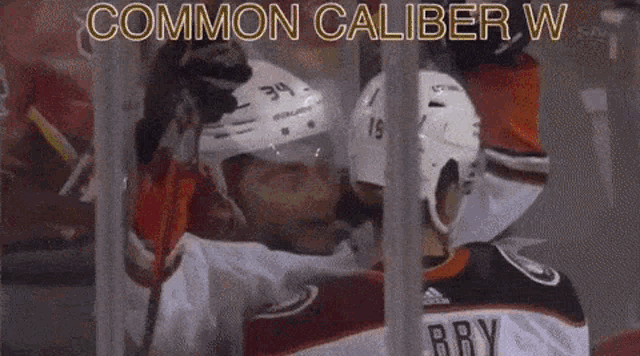 Common Caliber W Anaheim Ducks GIF - Common Caliber W Anaheim Ducks Jamie Drysdale GIFs