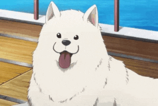 a white dog with a pink tongue sticking out is sitting next to a pool .