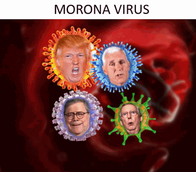 Trump Coronavirus GIF - Trump Coronavirus Morona Virus GIFs