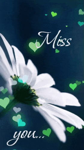 a greeting card with a white flower and the words " miss you "