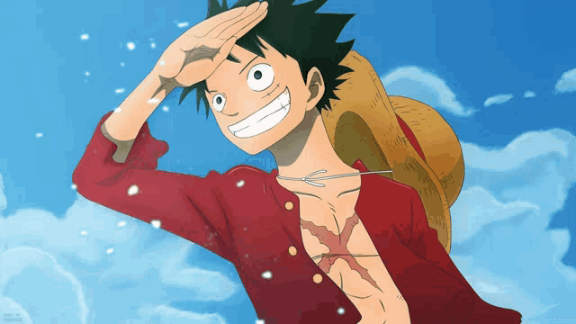 a drawing of luffy from one piece with a straw hat on his back