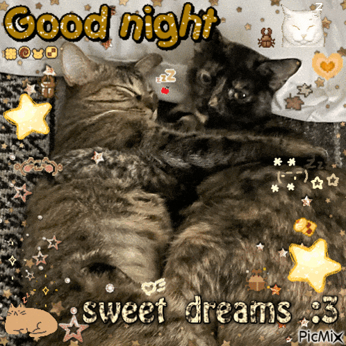 a picture of two cats hugging with the words good night sweet dreams 3
