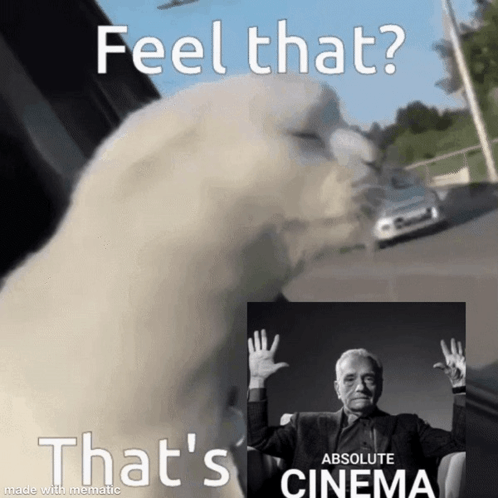 Cat Cat Meme GIF - Cat Cat Meme Absolute Cinema GIFs