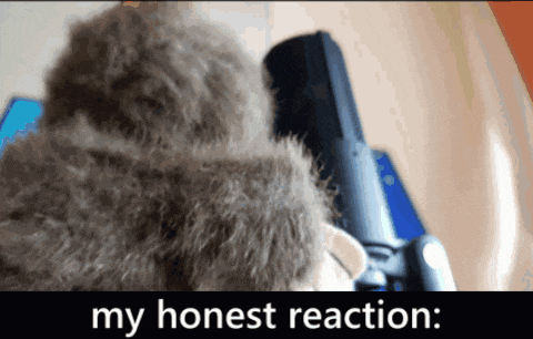a picture of a stuffed animal with the words my honest reaction