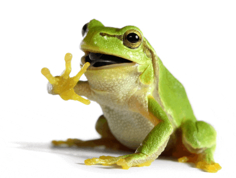 a green frog with its mouth open and its tongue sticking out