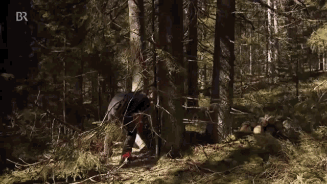 a man wearing a helmet and a black shirt is walking through a forest .