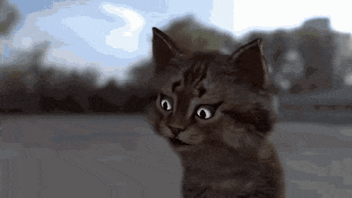 a close up of a cat 's face with a blue sky in the background