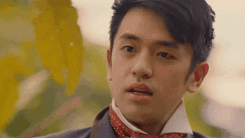 a close up of a man wearing a suit and a red bow tie