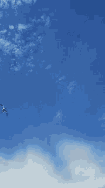 a seagull is flying through a blue cloudy sky