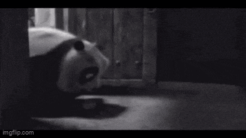 a black and white photo of a panda bear laying on the floor .