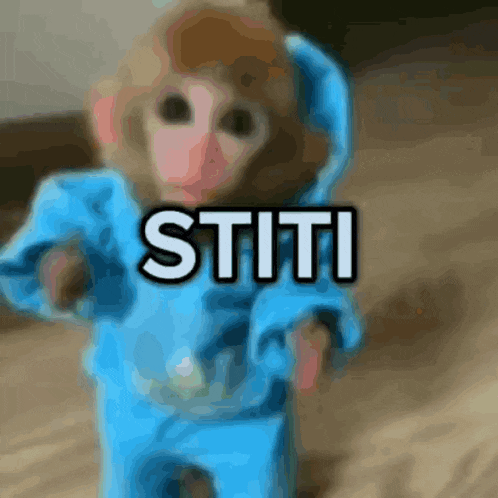 a blurry picture of a monkey wearing a blue outfit with the word stiti in white letters