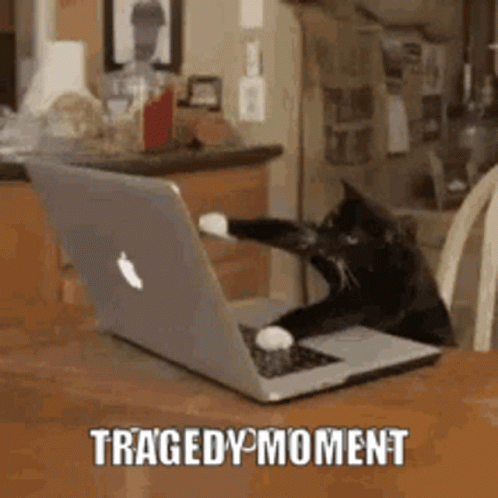 Tragedy Moment Homework Time GIF - Tragedy Moment Homework Time Cat GIFs