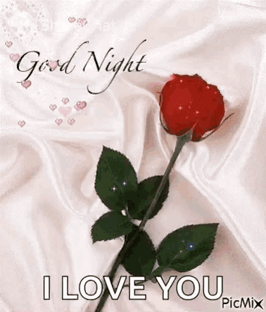 a red rose is sitting on a white cloth with the words `` good night i love you '' written on it .