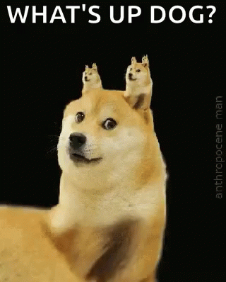 Doge Doge On Doge GIF - Doge Doge On Doge Meme GIFs