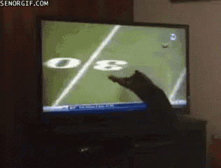 a cat is playing with a football on a television screen