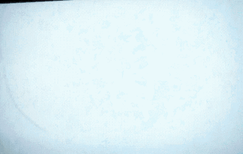 a white background with a lot of small blue dots on it