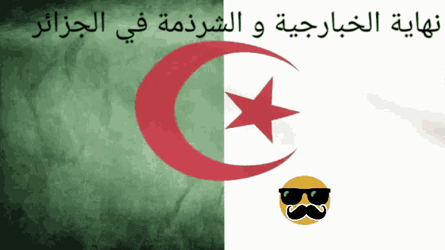 Algerian Flag Algeria GIF - Algerian Flag Algeria نهاية GIFs