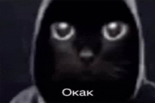 a black cat with white eyes is wearing a hoodie and says okak .
