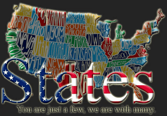 States America GIF - States America Mobstar GIFs