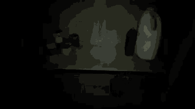there is a bottle of milk on the shelf in the dark .