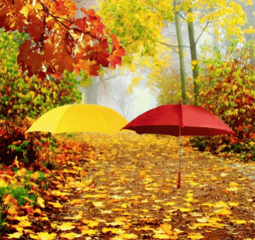 Yellow Red GIF - Yellow Red Umbrella GIFs