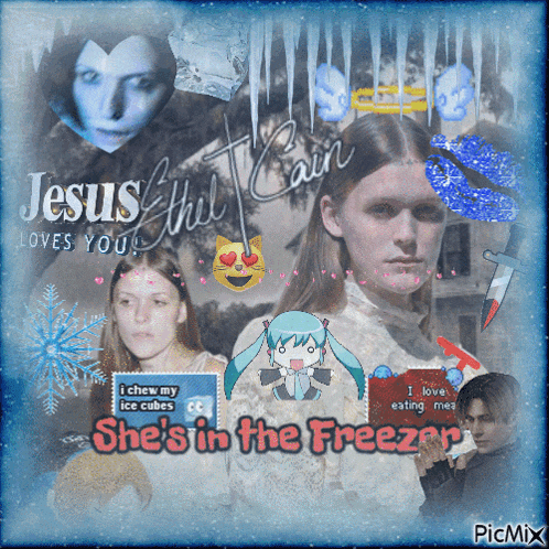 a collage of images with the words she 's in the freezer