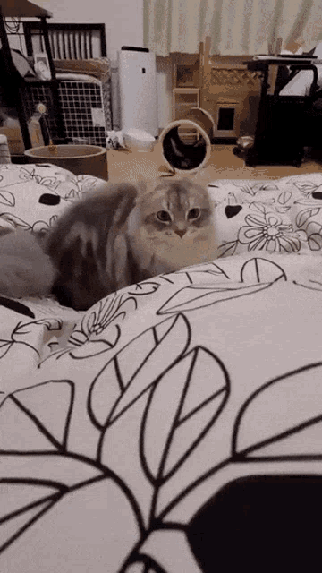 Cat Dive GIF - Cat Dive Blanket GIFs