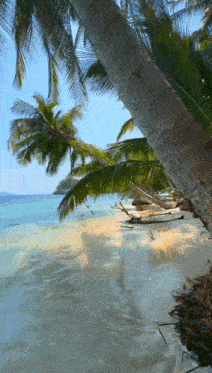 a painting of a beach with palm trees and a body of water