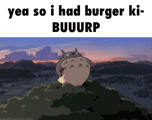 a picture of a totoro with the words yea so i had burger ki buuurp