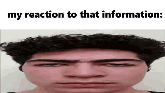 My Reaction To That Information Rep Invil GIF - My Reaction To That Information Rep Invil Jadimations GIFs